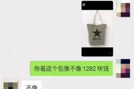 拉萨遇到恶意拖欠？专业追讨公司帮您解决烦恼